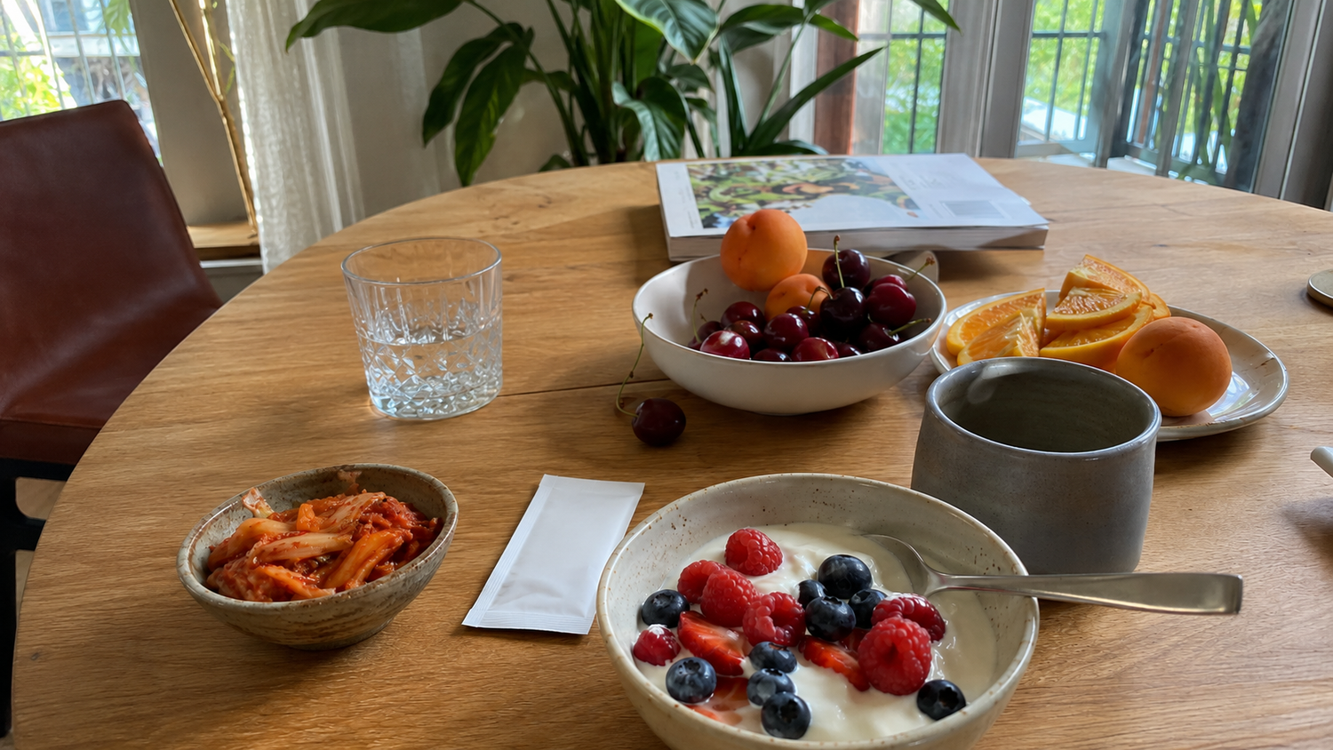 Probiotic Supplements or Fermented Foods: What’s Better for Gut Health?