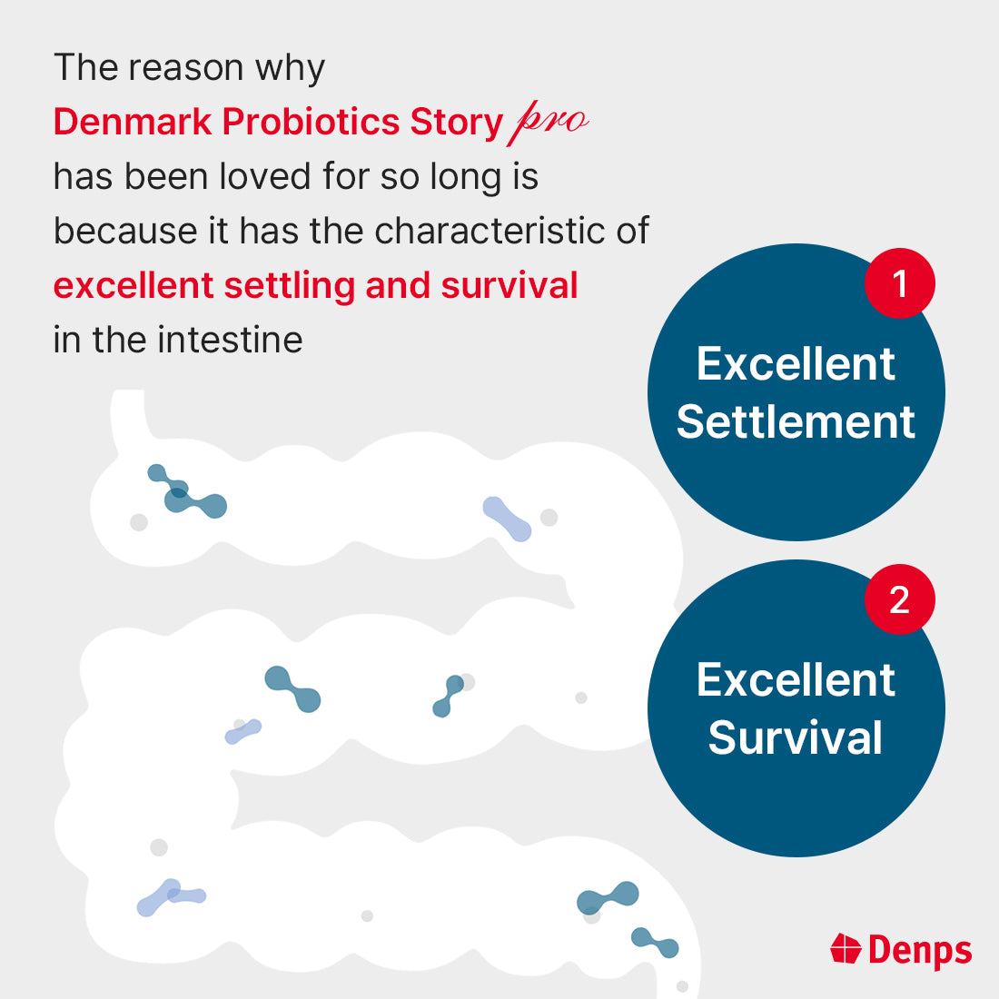 Denmark Probiotics Story Pro, 10 Billion CFU BB-12® Strains, 60 Capsules (2 Months)