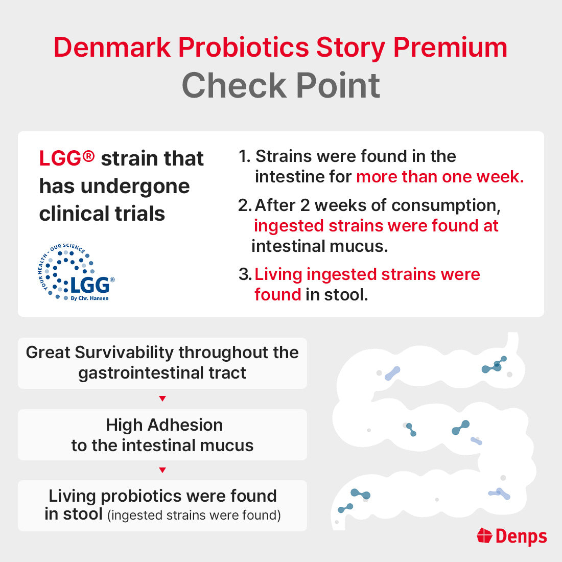 Denps Denmark Probiotics Story Premium - 10 Billion CFU LGG® & BB-12® strains from Chr. Hansen, 2months 60 capsules