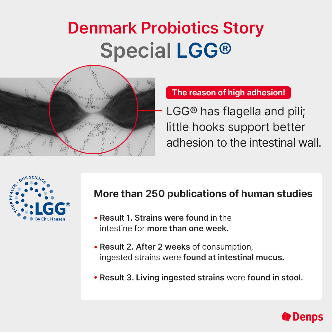 Denps Denmark Probiotics Story 3 Billion CFU LGG® & BB-12® strain from Chr.Hansen Powder