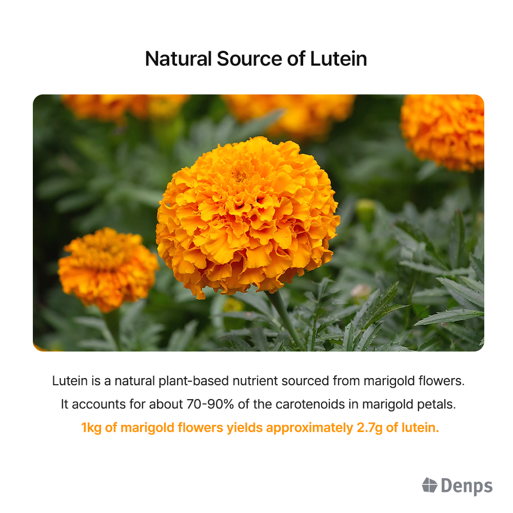 Denps TruVitamin™ Vision, Multivitamin, 30 Packs